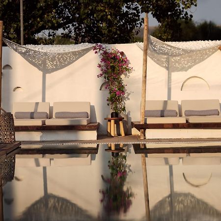 Gardelli Resort Laganas Ngoại thất bức ảnh